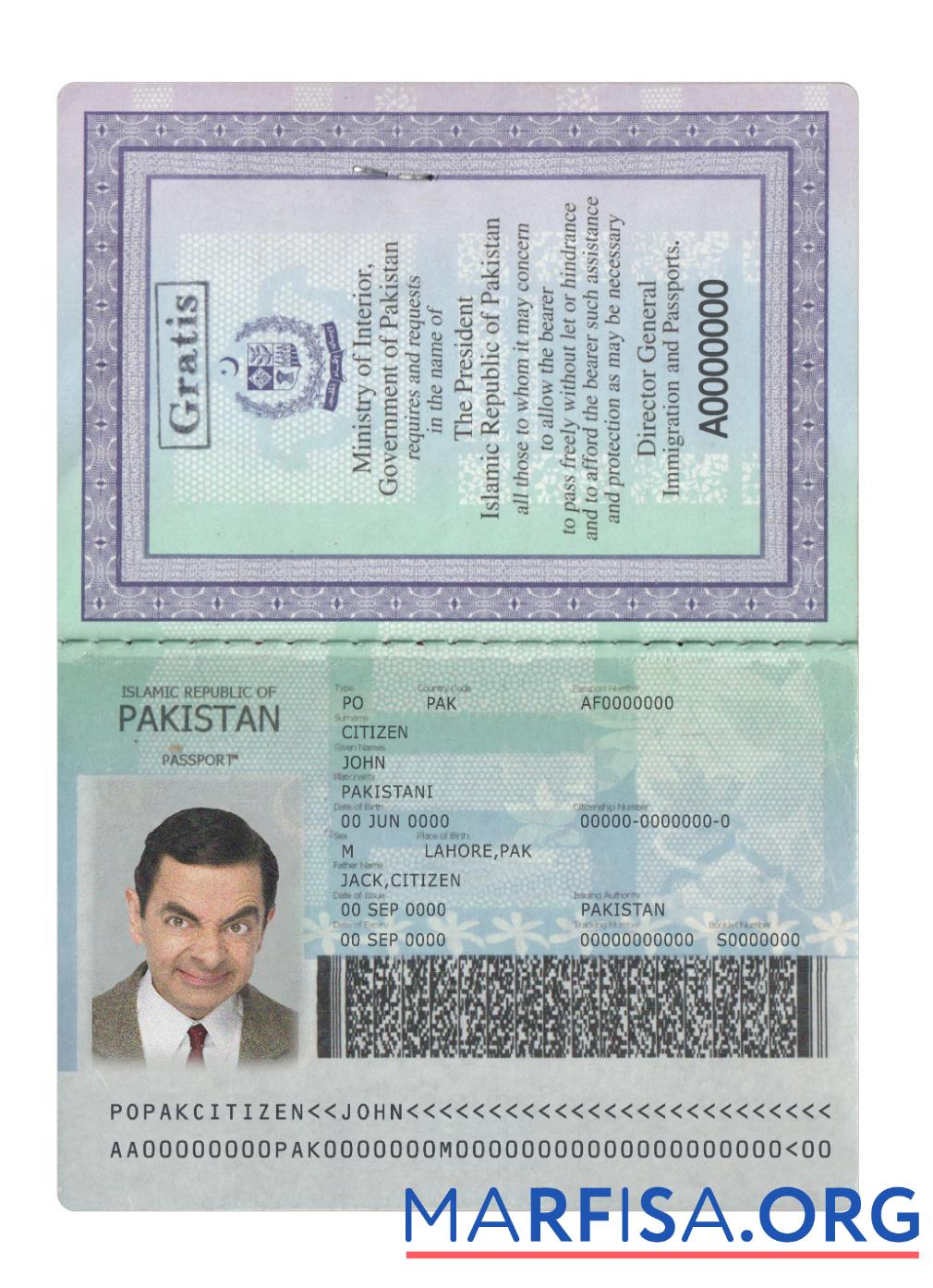 Printable Pakistan new passport 2020 present download for verification